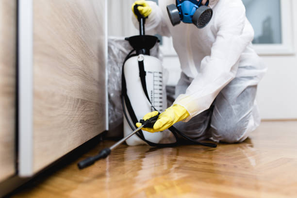 Best Affordable Pest Control Services  in Bruceville Eddy, TX