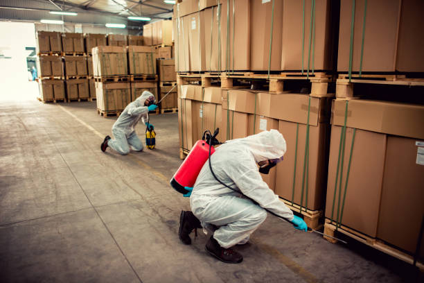 Best Mosquito Control Services  in Bruceville Eddy, TX