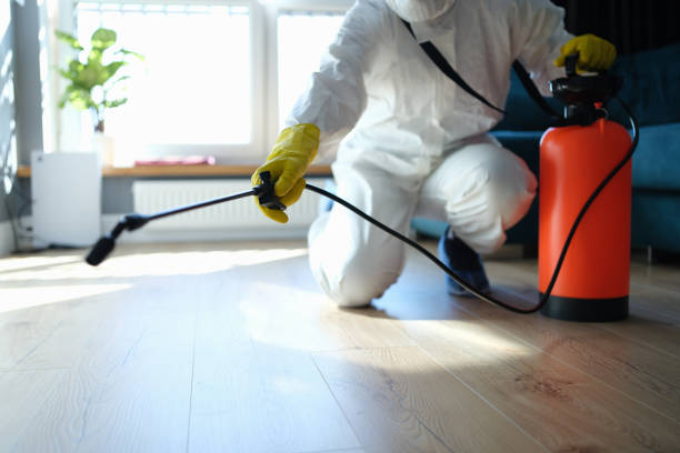 Best Pest Removal Services  in Bruceville Eddy, TX