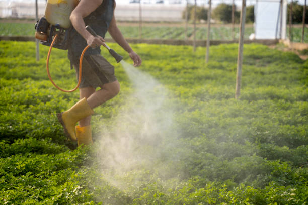Best Best Pest Control Companies  in Bruceville Eddy, TX