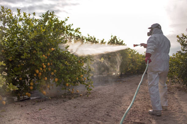 Wildlife Control Services in Bruceville Eddy, TX