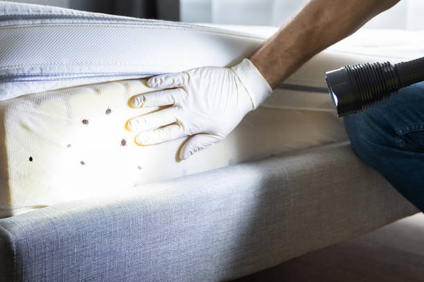 Bruceville Eddy, TX Pest Control Company
