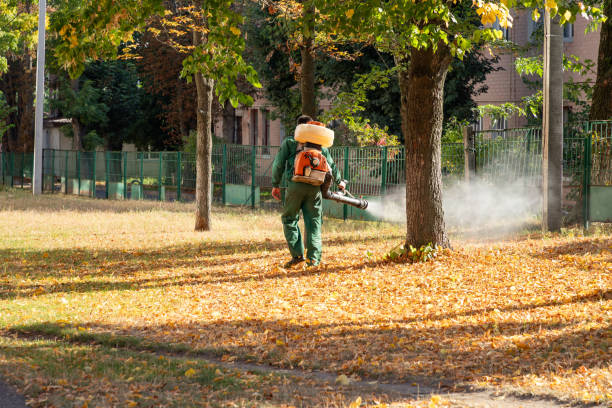 Best Wasp Removal Services  in Bruceville Eddy, TX